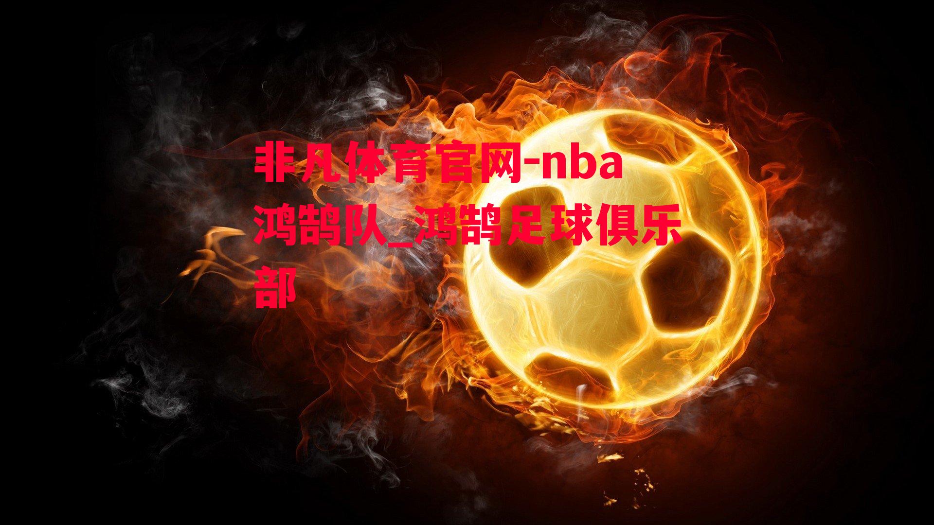 nba鸿鹄队_鸿鹄足球俱乐部