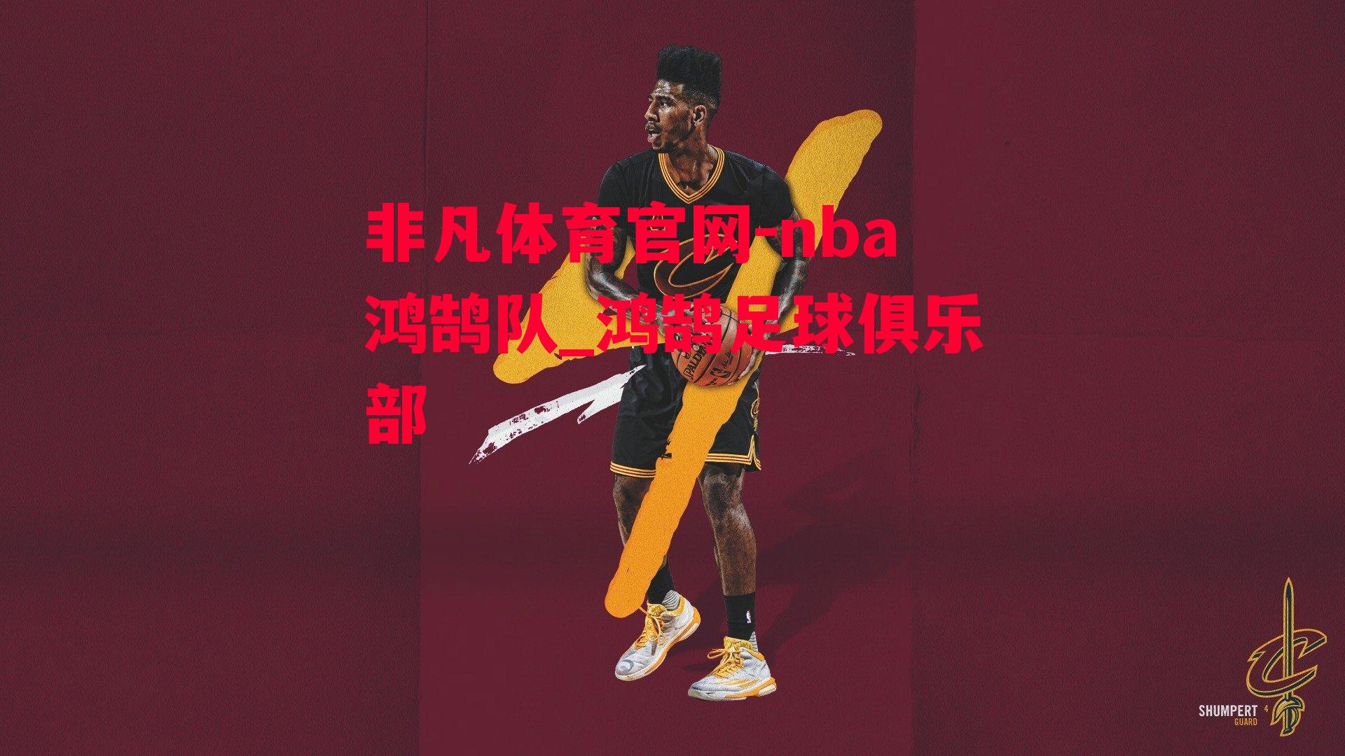 nba鸿鹄队_鸿鹄足球俱乐部